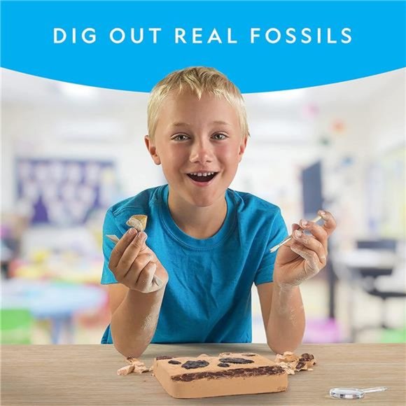 Mega Fossil Dig Kit - Excavate 15 Prehistoric Fossils Including Dinosaur Bones - Picture 2 of 6